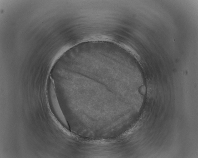 X0000073410990200608251520