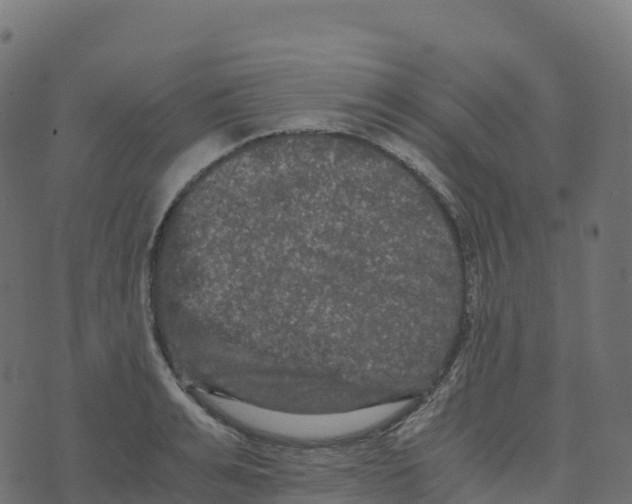 X0000073410991200608251520