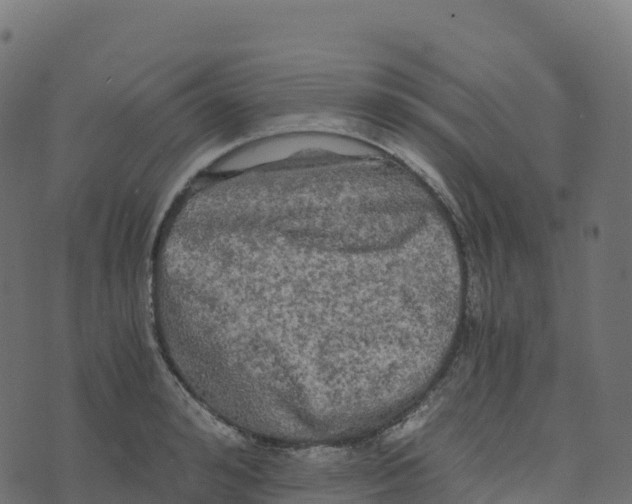 X0000073410992200608251520