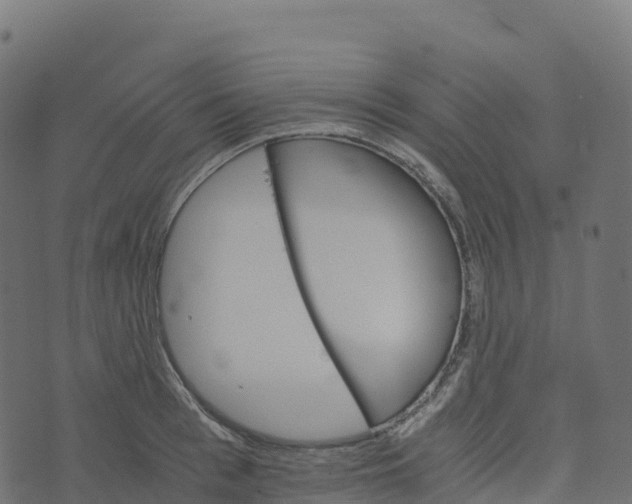 X0000073410993200608251520