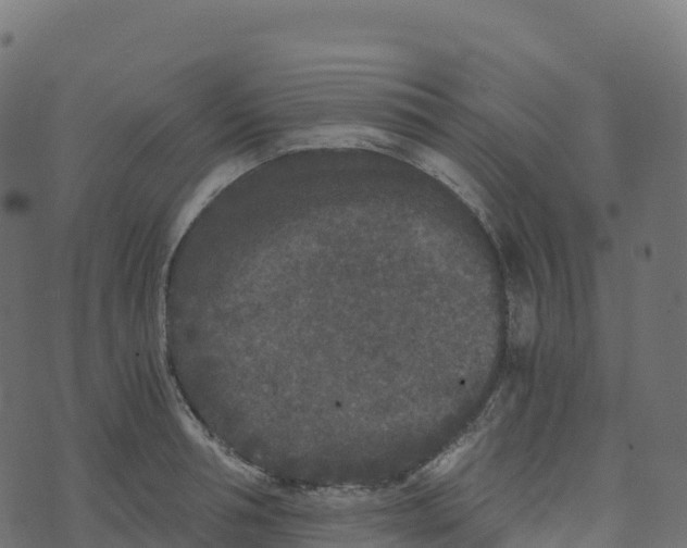 X0000073410994200608251520