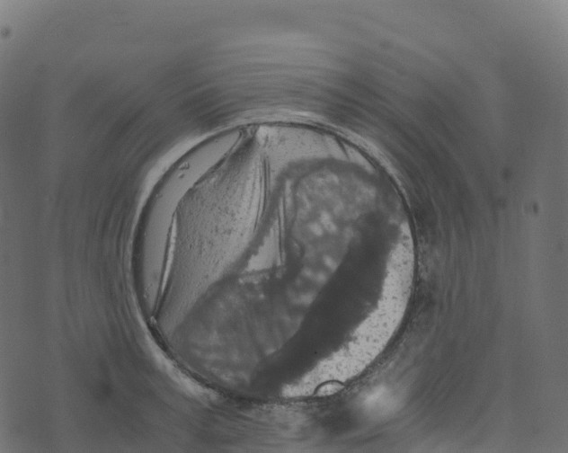 X0000073410995200608251520