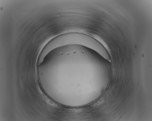 X0000073410996200608251520