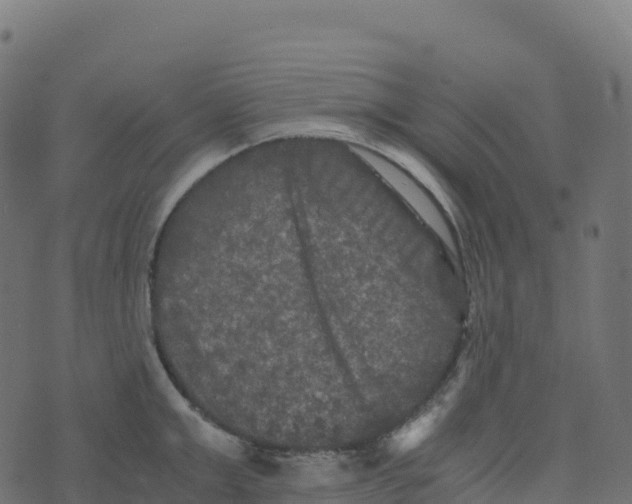 X0000073410999200608251520