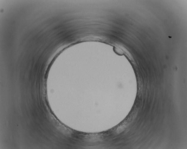 X0000073411000200608251520