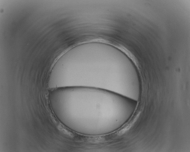 X0000073411001200608251520