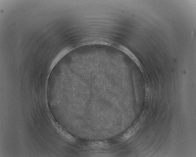 X0000073411002200608251520