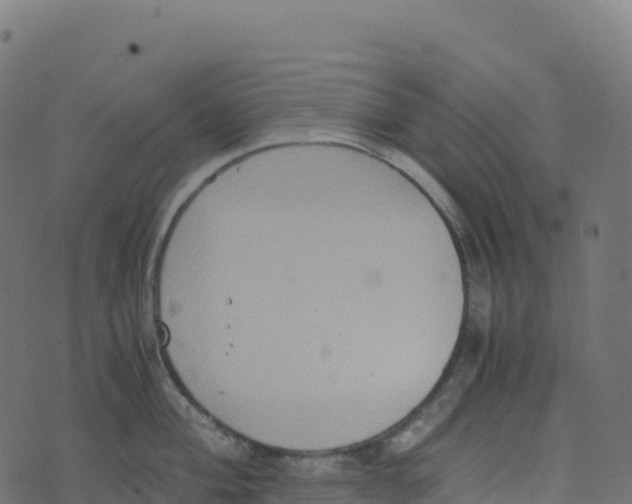 X0000073411004200608251520