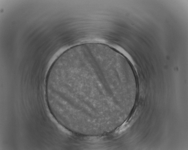 X0000073411005200608251520