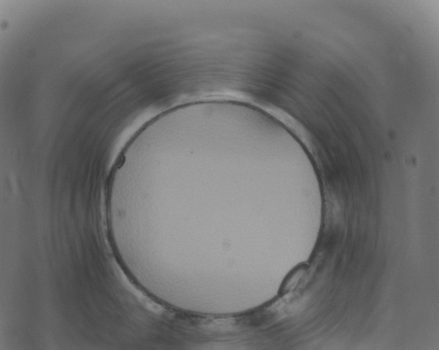 X0000073411006200608251520