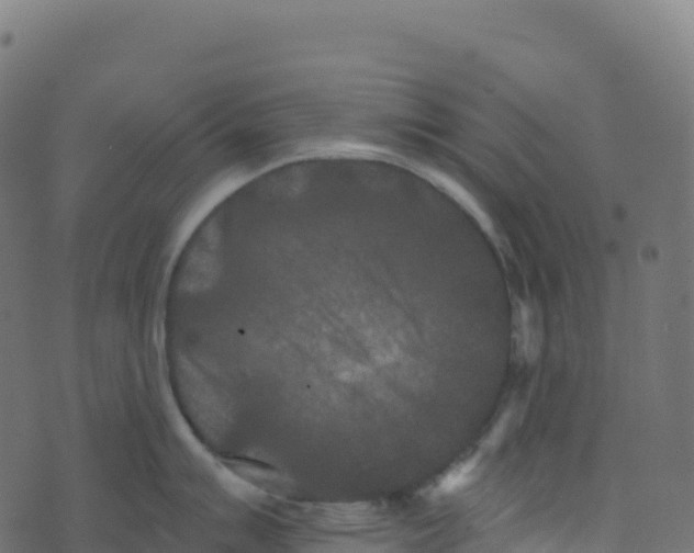 X0000073411007200608251520