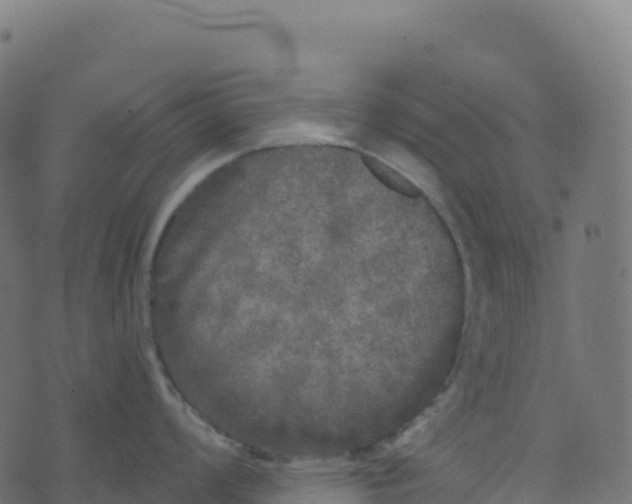 X0000073411008200608251520