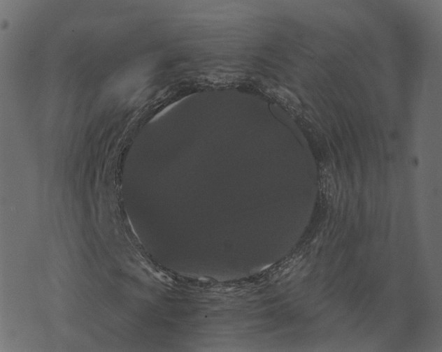 X0000073411009200608251519