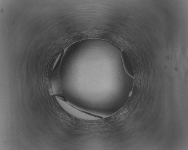 X0000073411010200608251519