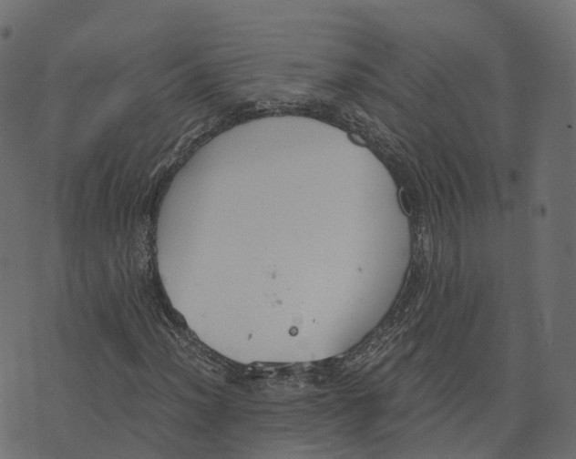 X0000073411012200608251519