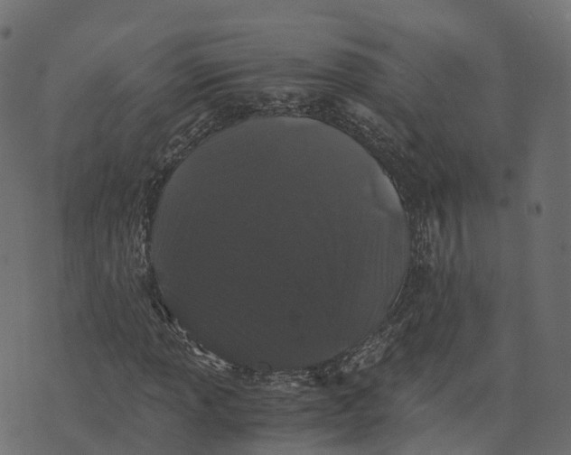 X0000073411013200608251519