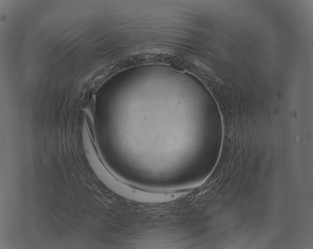 X0000073411014200608251519