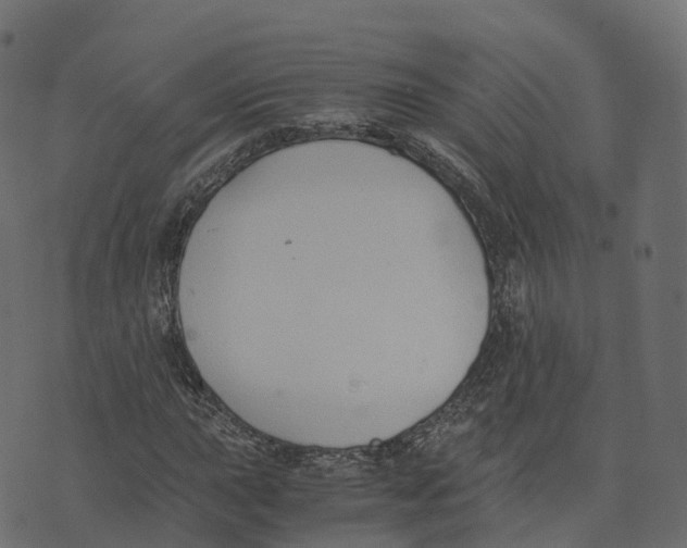 X0000073411015200608251519