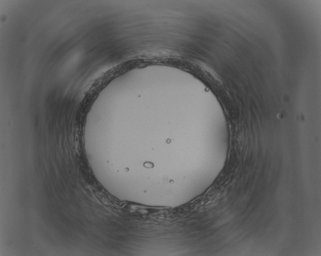 X0000073411016200608251519