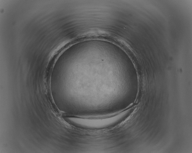 X0000073411018200608251519