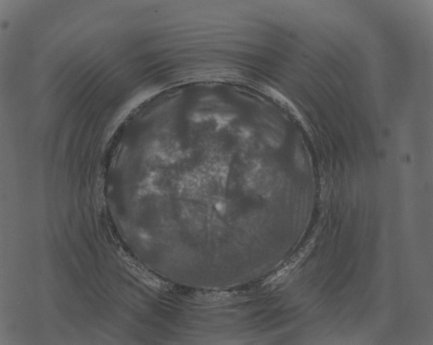 X0000073411019200608251519