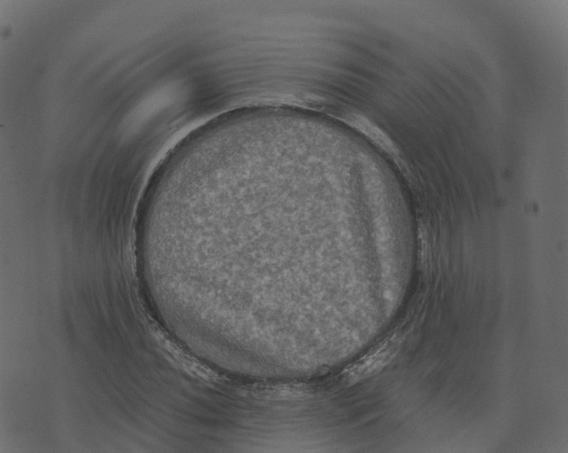 X0000073411020200608251519