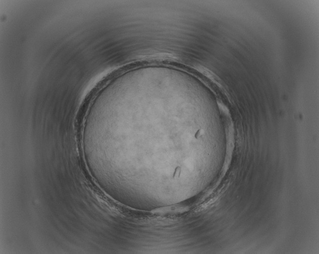 X0000073411022200608251519