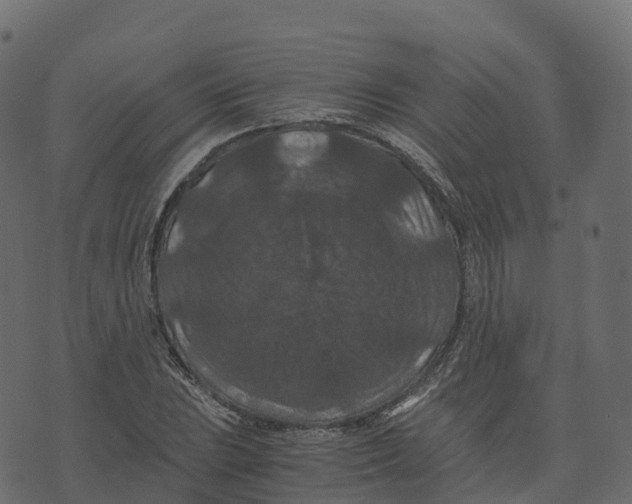 X0000073411023200608251519