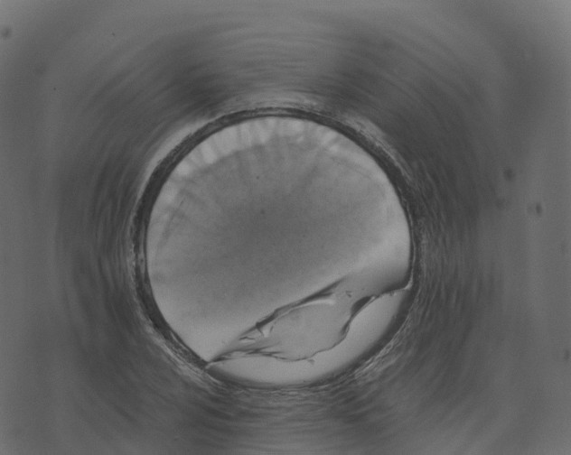 X0000073411024200608251519