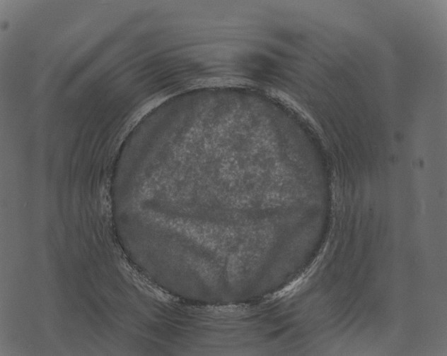 X0000073411025200608251519