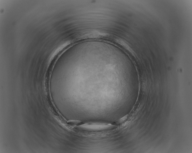 X0000073411026200608251519