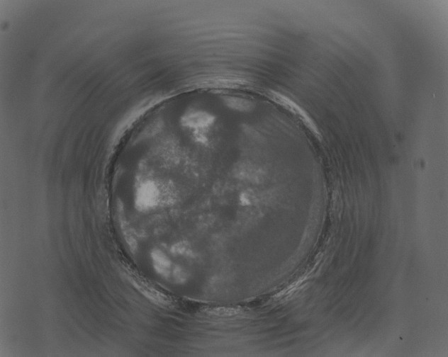 X0000073411027200608251519