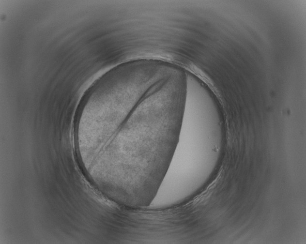 X0000073411028200608251519