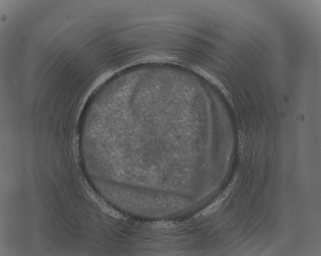 X0000073411029200608251519