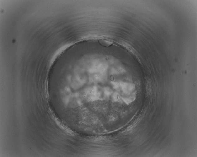 X0000073411030200608251519