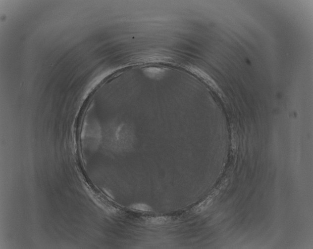 X0000073411031200608251519