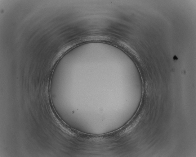 X0000073411033200608251520