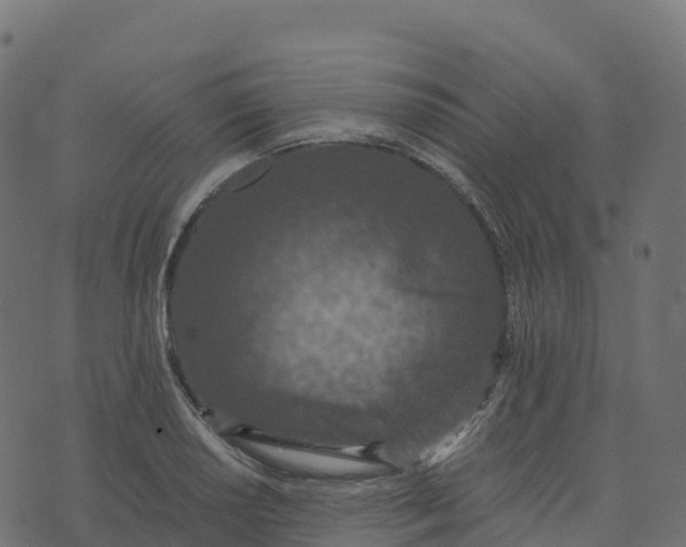 X0000073411034200608251520