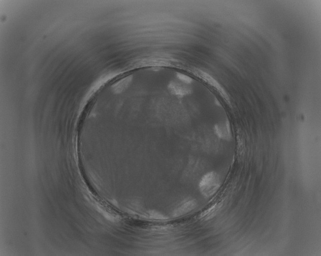 X0000073411035200608251520