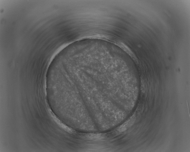 X0000073411036200608251520