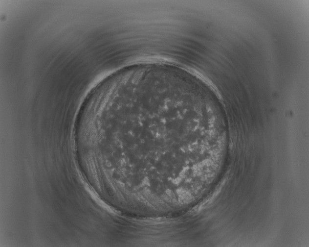 X0000073411037200608251520