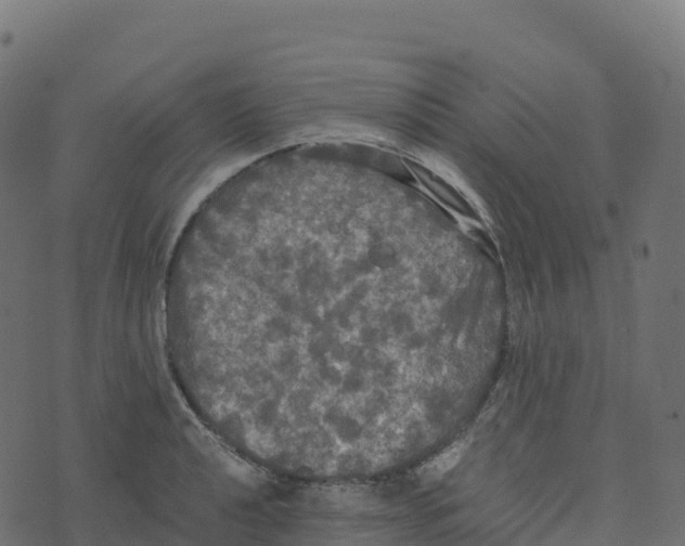 X0000073411040200608251520