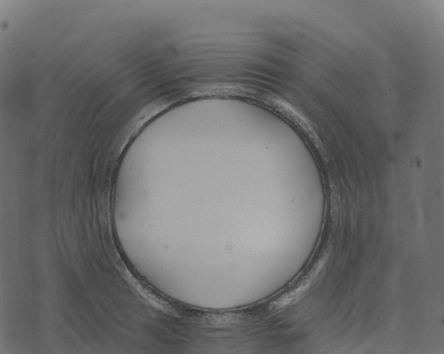 X0000073411041200608251520