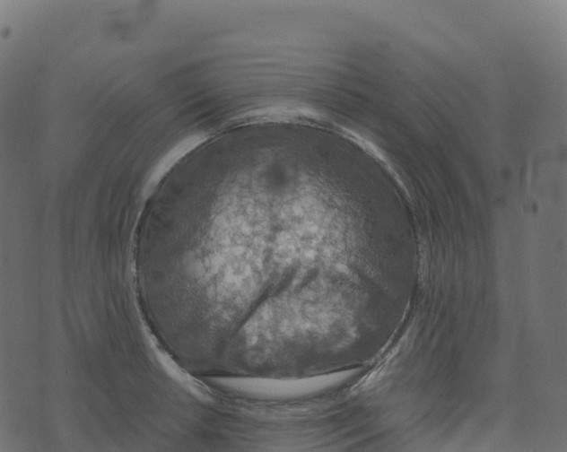 X0000073411042200608251520