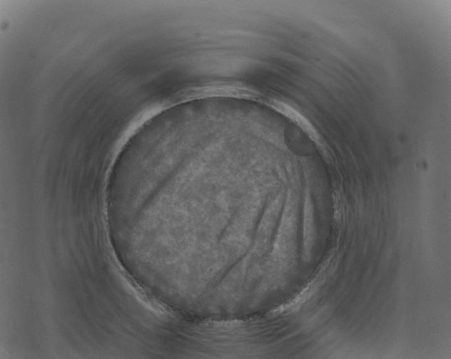 X0000073411043200608251520