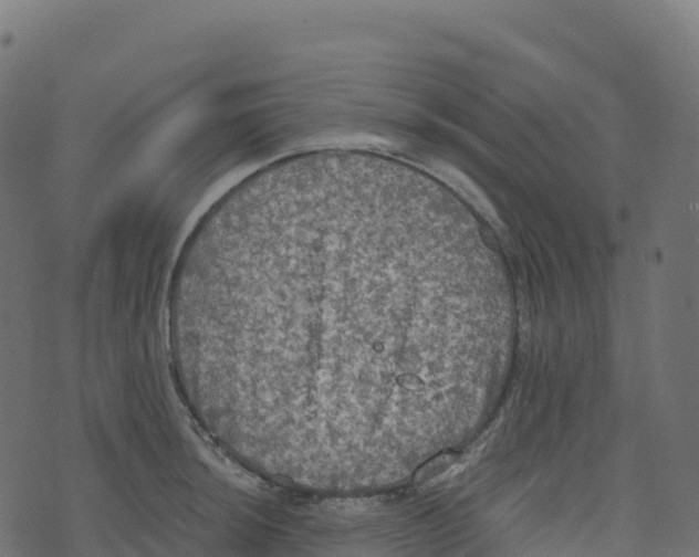 X0000073411044200608251520