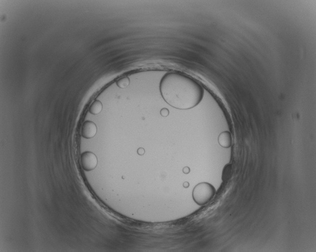 X0000073411045200608251520