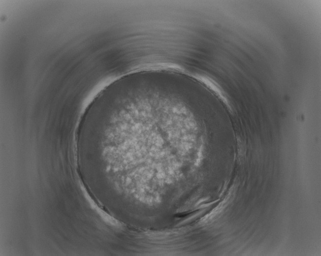 X0000073411046200608251520