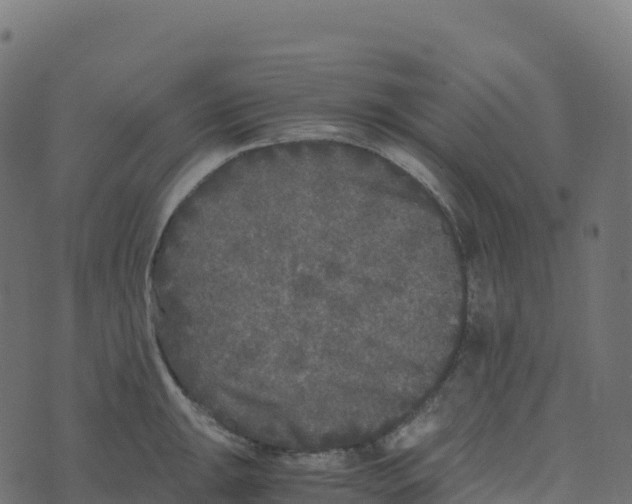 X0000073411047200608251520