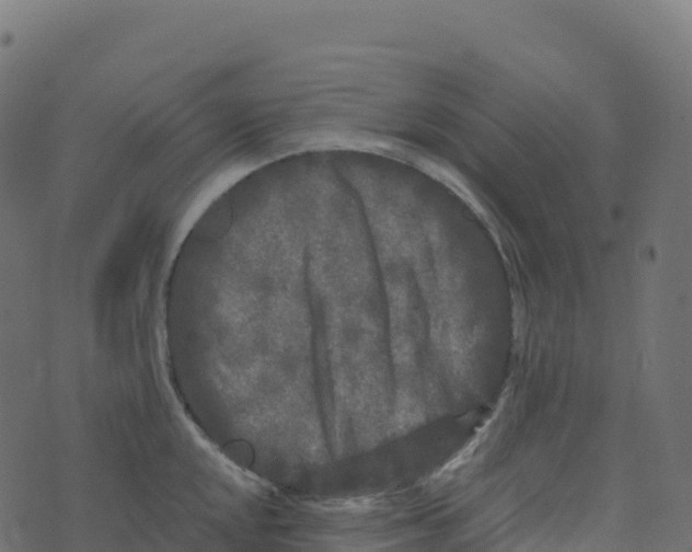 X0000073411048200608251520